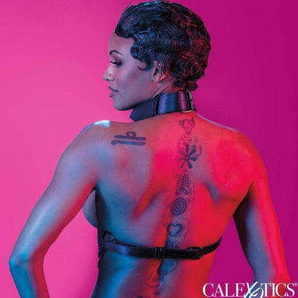 CALEXOTICS - HAM DE ZGARD CU LÂNȚURI MULTIPLE EUPHORIA