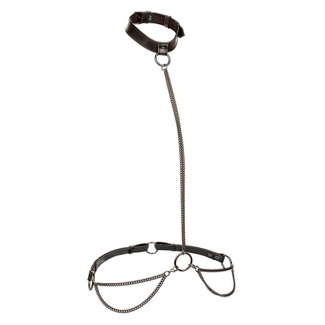 CALEXOTICS - ZGÂR ȘI LESĂ CU LANȚ EUPHORIA, MĂRIME PLUSĂ