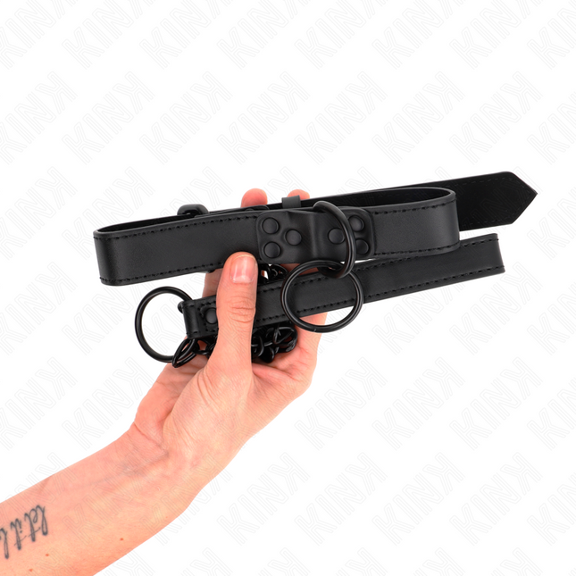 KINK - ZGARD CU LESĂ ÎNCHISĂ LA CURTE 65 CM REGLABILĂ 37-54 CM X 3 CM