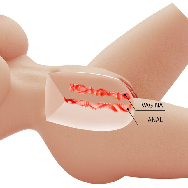 CRAZY BULL - LILY REALISTIC TORSO FEMININ, VAGIN ȘI ANAL 4 KG